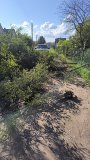  Уважаемые садоводы! По улице 3 упало дерево,по возможности, объезжайте.Ведутся работы по устранению 02.08.2025г.