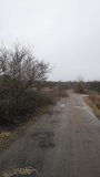 Уборка территории СНТ с учетом сезонности (спил деревьев, кустарников, удаление пней, листвы)