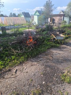 Уважаемые садоводы,спасибо Вам за помощь ❤12.07.2025г. Удаление растительности
